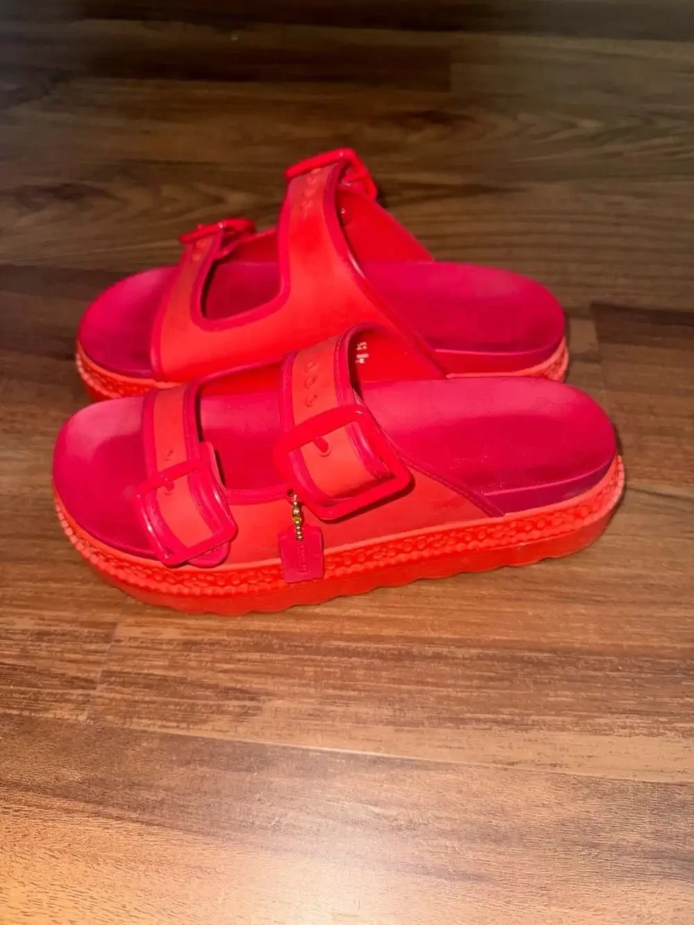Coach Lucy Platform Rubber Sandal
